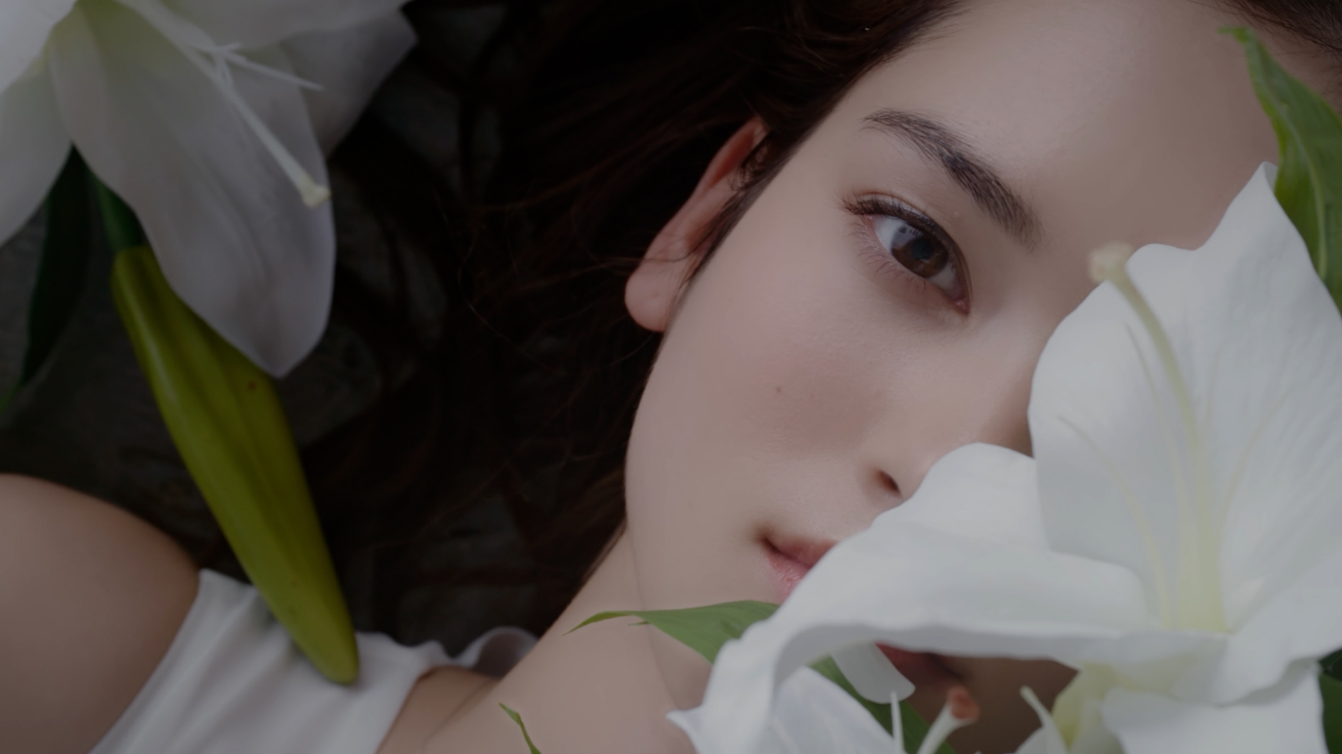 Whitte Inc. Visual Image for #08 Casablanca